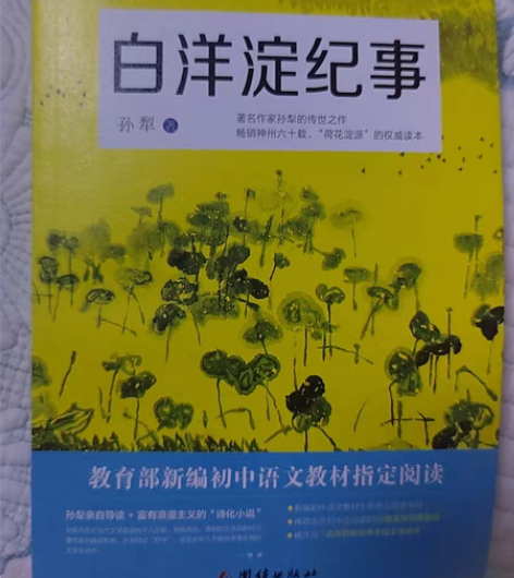 《白洋淀纪事》全新，半价出 感兴趣的话点“...