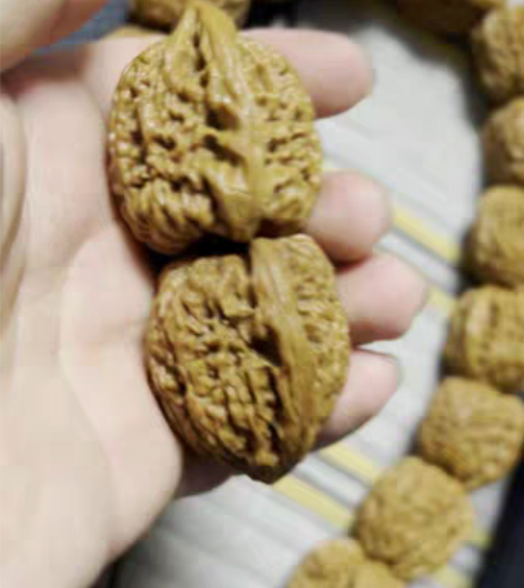 边37.6，肚35，高41 凹底南疆，骨质...