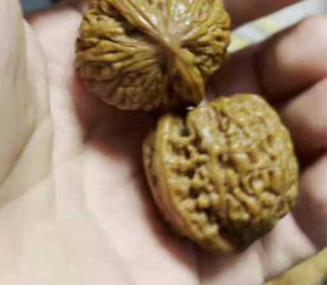 36承德红宝石,手感不错,盘完一年了,随缘...