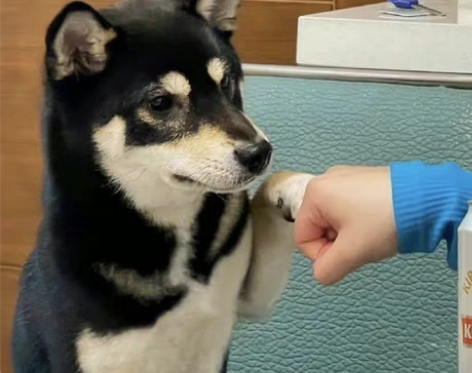 包邮一dan、bo乐、man蛙链接3r打包...