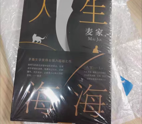 包邮人生海海麦家茅盾文学奖中国文学小说包邮...