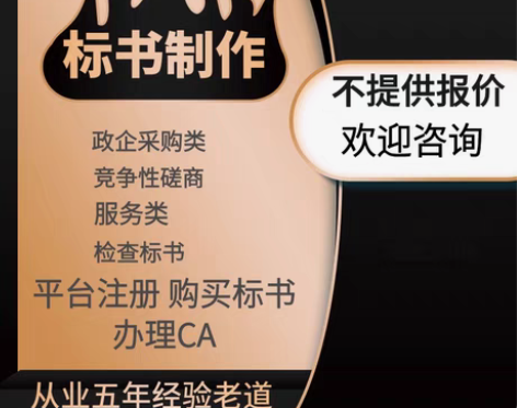 包邮标书代做，代检查，文档整理，技术方案整...