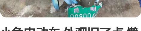 小龟电动车 外观旧了点 懒的管 代步 电池...