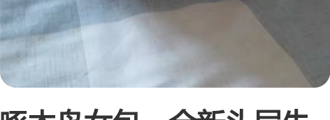 啄木鸟女包，全新头层牛皮，质量非常好！颜色...