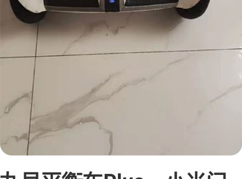 九号平衡车Plus，小米门店买的，有一次保...