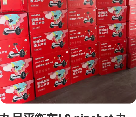 九号平衡车L8 ninebot 九号L8，...