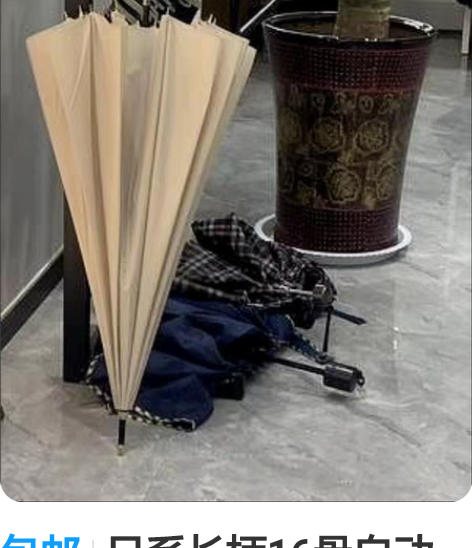 包邮日系长柄16骨自动雨伞大号长柄直柄伞女...