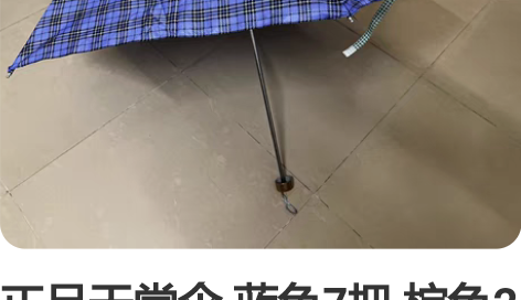 正品天堂伞 蓝色7把 棕色2把 卖完就没 ...