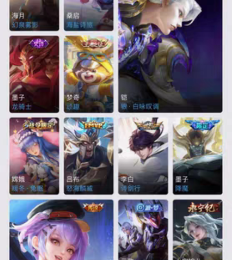 王者v10号 389皮肤 新皮肤基本都有 ...
