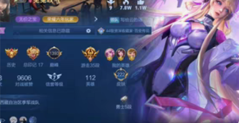 王者苹果q区  共号/租号 长期共号只收一...