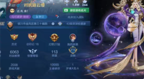 包邮超值低价王者荣耀账号 出 租 【本人自...