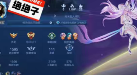 王者荣耀账号，安卓q区 有一典藏小乔天鹅之...