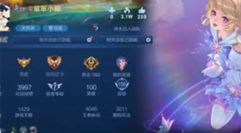 王者荣耀苹果区 紫瑶时之愿镜 貂蝉金色仲夏...