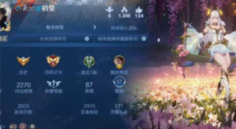 王者号，有貂蝉金色仲夏夜，飞衡，朱雀志，白...