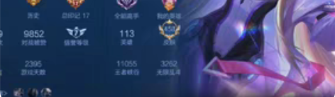 【459皮】wzry租号【安卓Q】【V10...