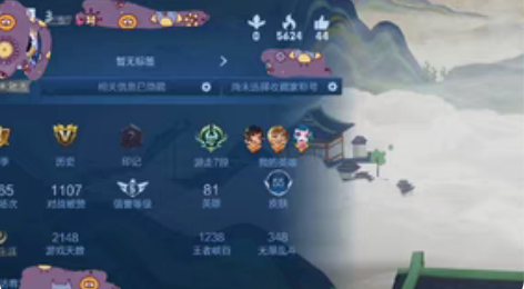 王者Q区 皮肤55 英雄81,凤求凰凤凰于...