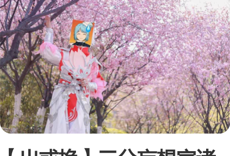 【出或换】三分妄想家诸葛亮武陵仙君有瑕大全...