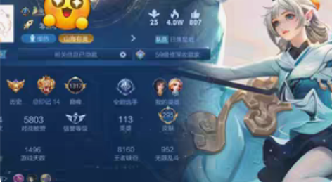 已收到 收祈雪号子 王者aq小漂亮 硬性要...