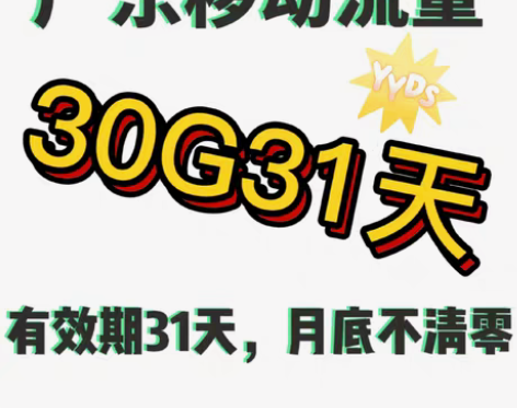 包邮最新广东移动流量30G31天流量包成功...