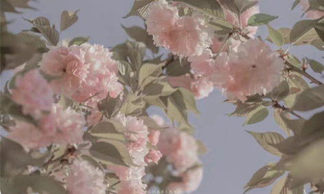 包邮广东深圳移动联通三网手机话费到账，20...