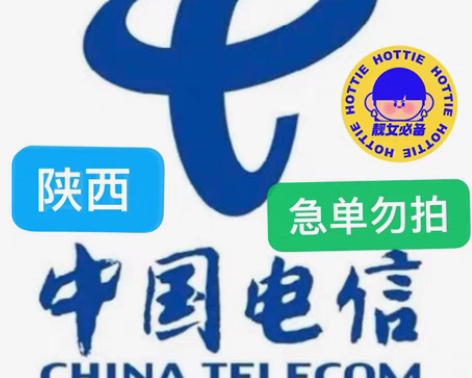 包邮陕西电信充值96充100 下单需看： ...