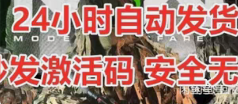 包邮使命召唤19 COD19  吉利服 拍...