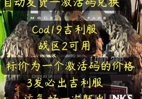 COD使命召唤19吉利服激活码 战区2全平...