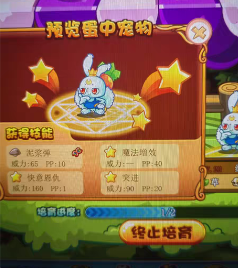 洛克王国包月 代肝、养号、所有活动、星辰塔...