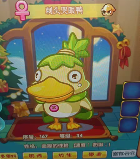 洛克王国宠物蛋，有遗传技能的格兰，鸭子 感...