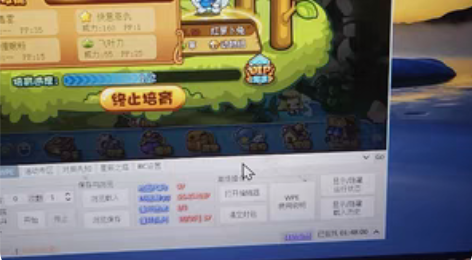 洛克王国毒催飞快意恩仇红萝卜兔 现蛋充足 ...