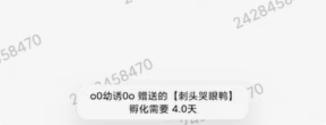 洛克王国绝版宠物蛋草头大眼鸭，信誉卖家，需...