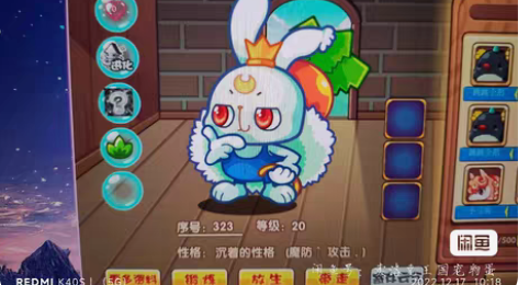 洛克王国宠物蛋，普通红兔6个 3元打包带走...