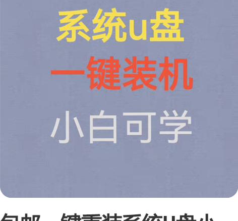 包邮一键重装系统U盘小白一键装机系统盘wi...