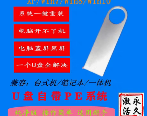 包邮装机系统U盘启动盘做系统U盘 全新64...