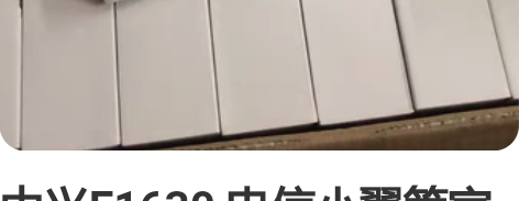 中兴E1630 电信小翼管家版 3000兆...