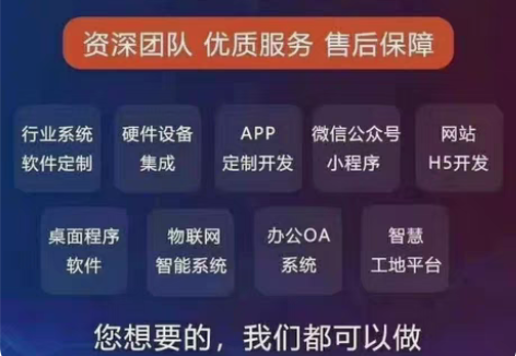 包邮#我的新年第一发#网站小程序定制开发，...