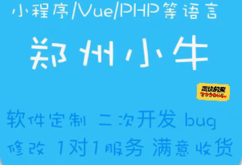 包邮软件定制 二次开发 bug修改 1对1...