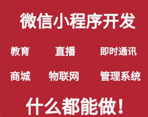 包邮小程序开发程序代做编程网站开发设计定制...