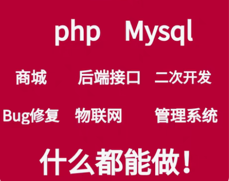 包邮php代做软件开发定制开发程序设计二开...