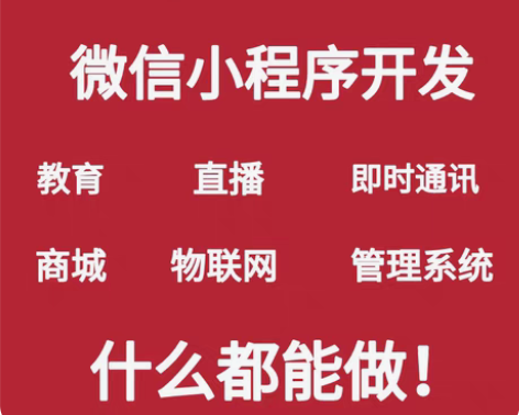 包邮小程序代做软件开发定制程序设计代码项目...