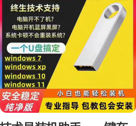 技术员装机助手、一键在线重装、制作启动U盘...