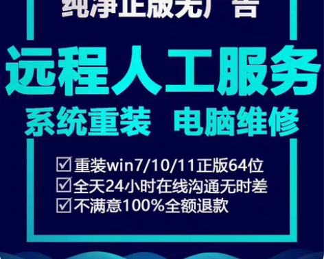 在线重装纯净系统 远程维修电脑重装做系统家...