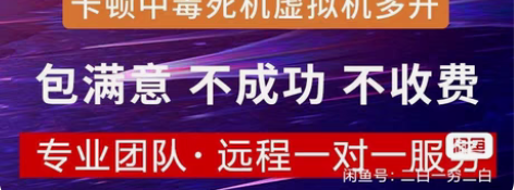 远程重装安装系统重装电脑维修蓝屏修复技术指...
