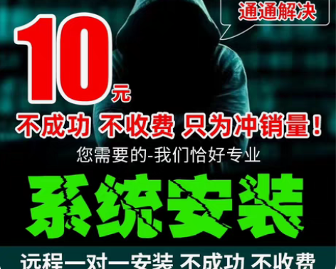 远程维修电脑、在线重装系统纯净版、重装做系...