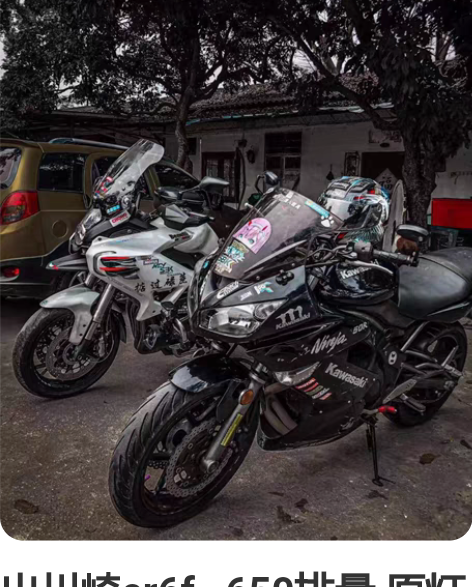 出川崎er6f   650排量 原灯部分原...