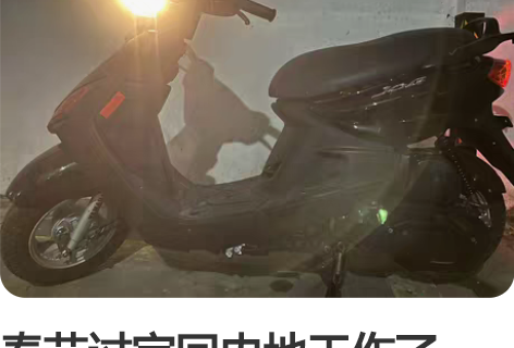 日本进口 福禧巧格飞鹰丽鹰100 普利珠 ...