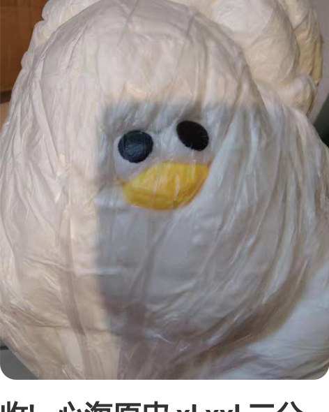 收!   心海原皮 xl xxl 三分妄想...