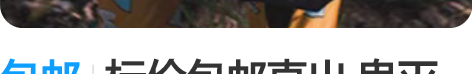 包邮标价包邮直出 鬼灭之刃队服cos 单裤...