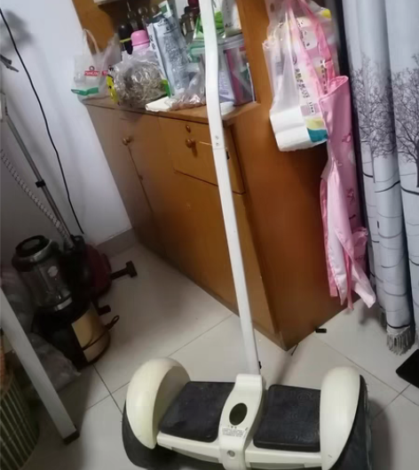 出领奥小旋风平衡车标准版白色 手控腿控,可...