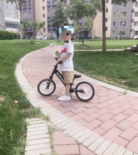 购买于旗舰店黑色STRIDER pro，1...